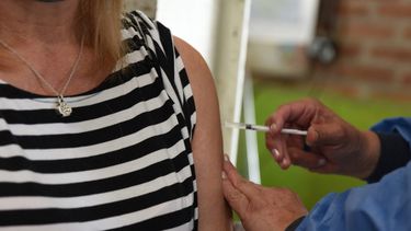 Vacuna antigripal: primera etapa completa