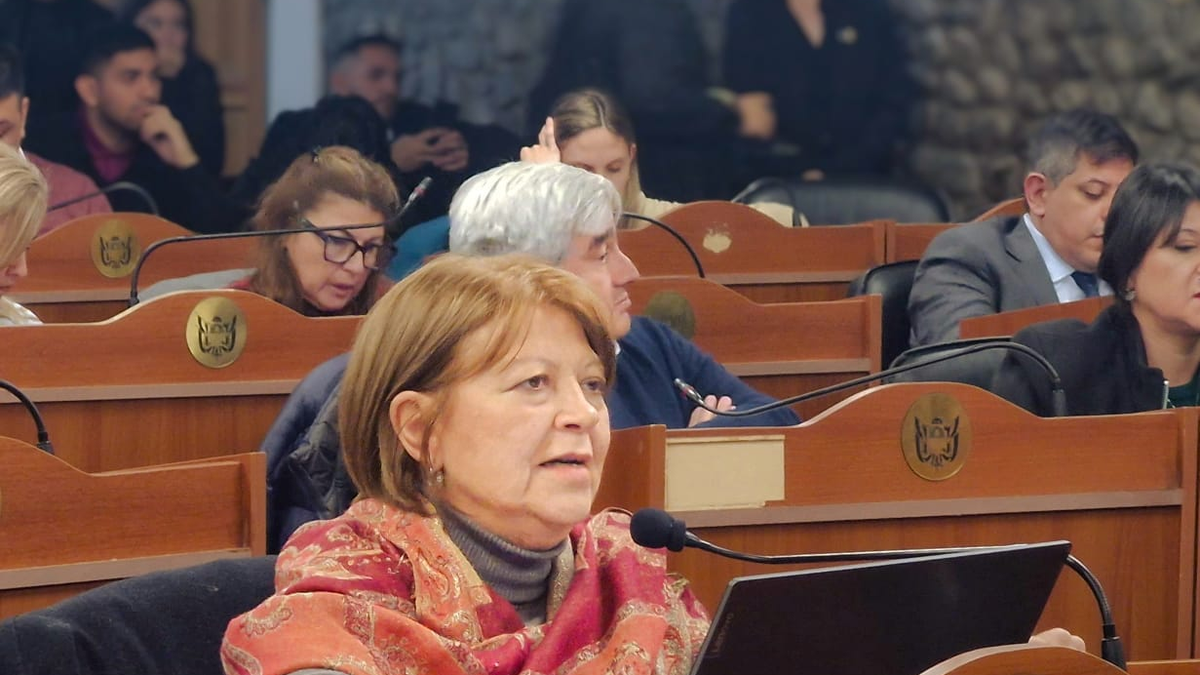 Adriana Díaz: "Milei le roba la plata a las provincias y asfixia las finanzas de Catamarca"