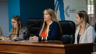 Sesión especial. La presidenta de la Cámara Baja, Paola Fedeli, convocó para cerrar el tema Defensor del Pueblo.
