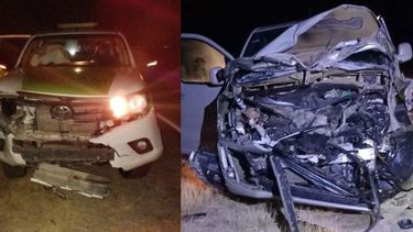 graves accidente  con animales sueltos