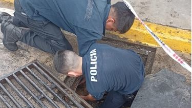 policias rescataron a un perro que estaba atrapado en una alcantarilla