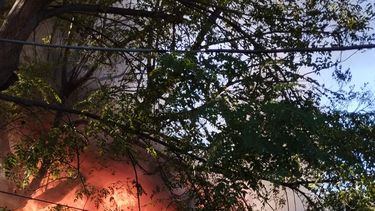 Un incendio causó daños totales en una vivienda