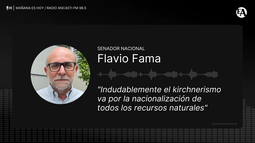 Fama: El kirchnerismo va por la nacionalización de todos los recursos naturales