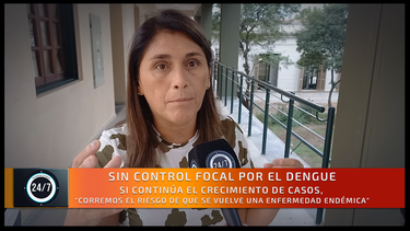 Sin control focal por el dengue