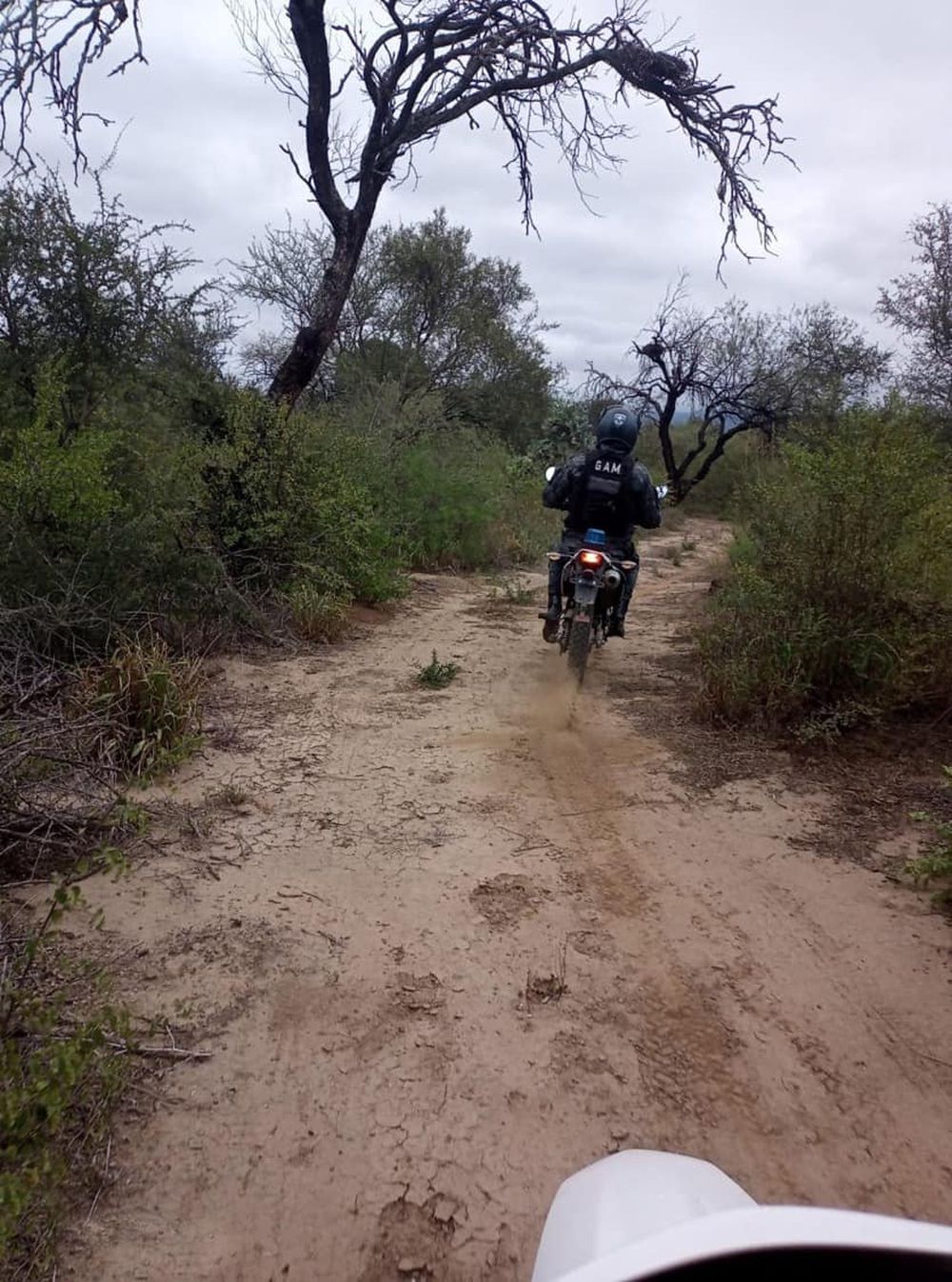 Búsqueda. Efectivos continúan realizando recorridos.