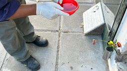 Salud alertó por el  avance del chikungunya en toda la provincia