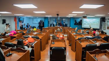 camara de senadores: juraron los legisladores electos