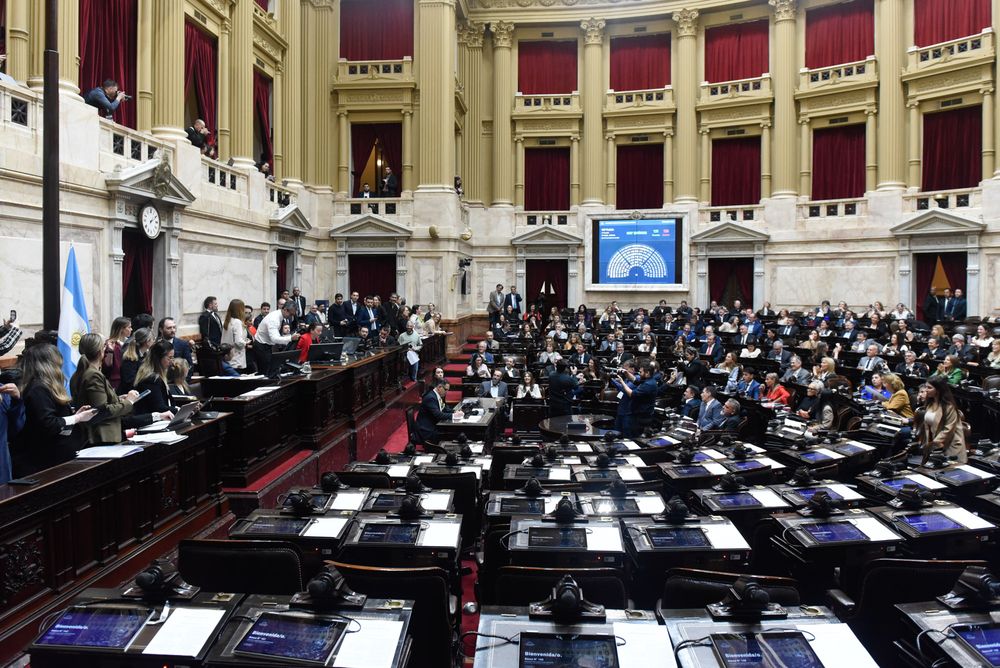 La oposición rechazó los vetos de Milei al financiamiento universitario y la emergencia pediátrica
