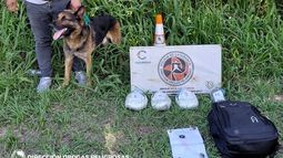 Efectivos policiales secuestraron casi dos kilos de marihuana en Paclín Efectivos policiales secuestraron casi dos kilos de marihuana en Paclín