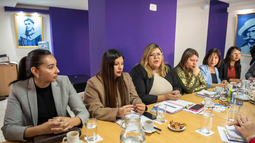 Ajustan detalles del proyecto de Ley de Salud Mental antes de su paso a Diputados