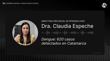 Dengue: 620 casos detectados en Catamarca