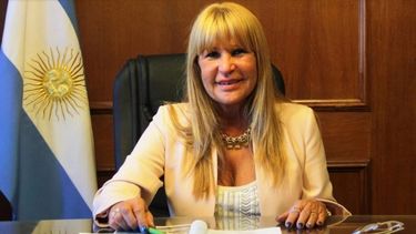 concedieron la eximicion de prision para la diputada de cambiemos