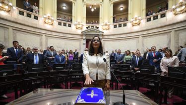 Convicción Federal se quedó con la vicepresidencia del Senado en su estreno formal