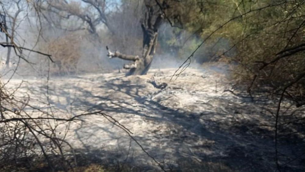 Controlan incendio forestal en Valle Viejo