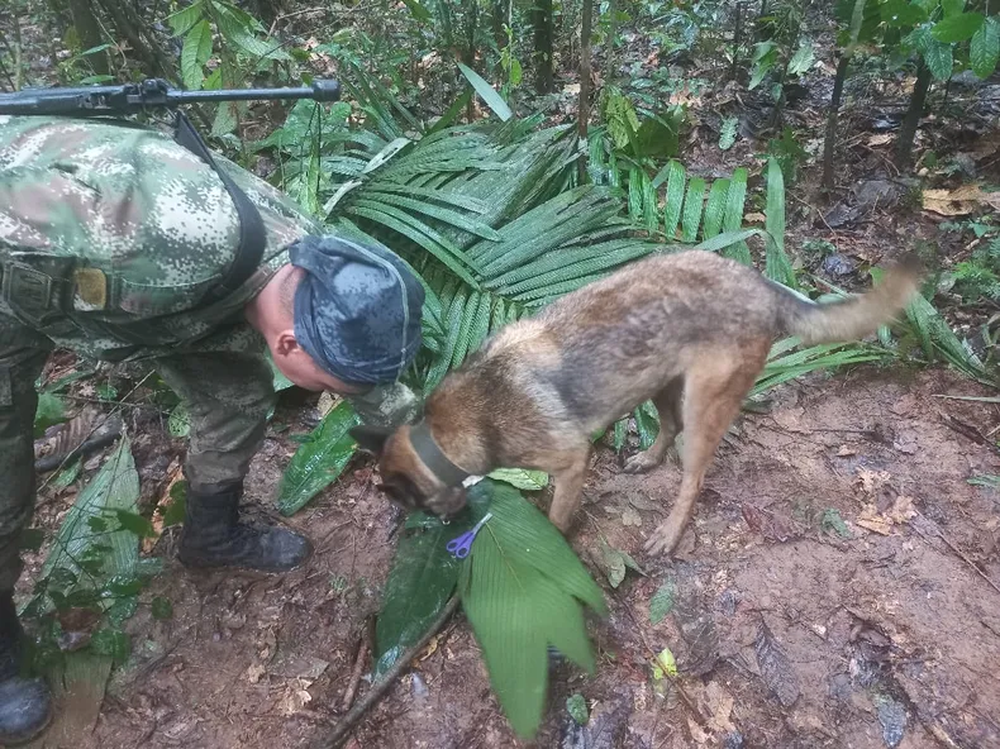 Colombia sigue buscando a los niños perdidos en la selva