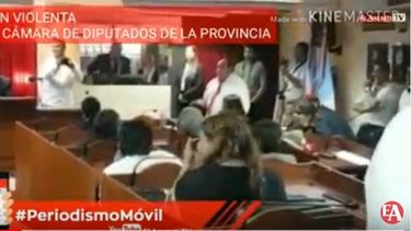 VIDEO: gritos e insultos en la Cámara de Diputados