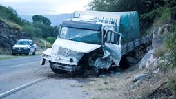 Camión perdió una rueda y chocó con una loma