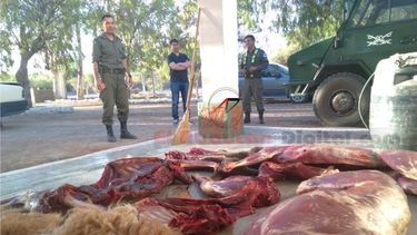 Secuestran animales y demoran a dos cazadores furtivos