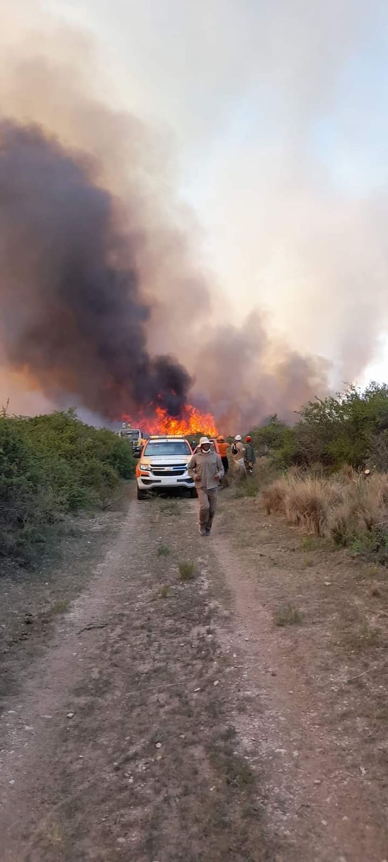Incendios forestales sin tregua: hay focos activos en nueve provincias
