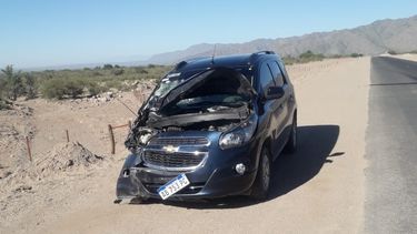 Otro accidente ocasionado por un animal suelto en la ruta