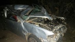 Murió un automovilista al chocar contra un animal suelto en la ruta