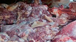 Decomisaron 700 kilos de carne de caballo en una faena clandestina