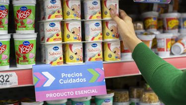 Más productos lácteos en Precios Cuidados.&nbsp;