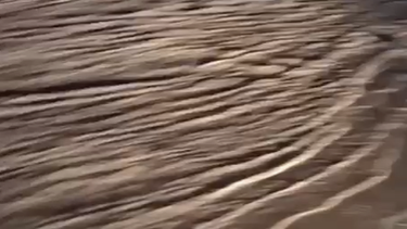 Río Colorado. Costa de Reyes.&nbsp;