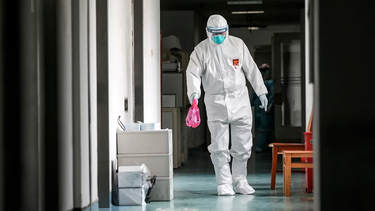 Un empleado apagó el congelador de un laboratorio y arruinó una investigación de más de 20 años