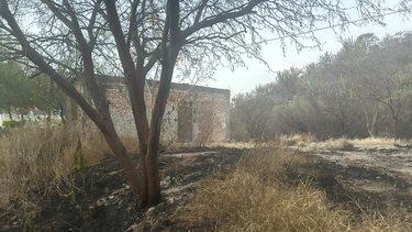 amplio operativo por un incendio forestal en banda de varela