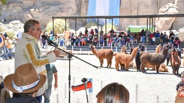 Participación. El gobernador entregó premiaciones a los mejores ejemplares ovinos y camélidos.
