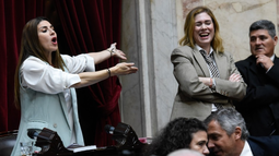 Feroz cruce entre Pagano y Lemoine: Menem, no podés conducir ni un auto