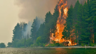 incendios en la patagonia: declaran la emergencia ignea en cuatro provincias