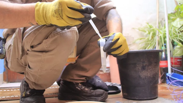 Control focal contra el dengue esta semana