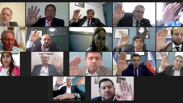 El Senado realizó su 21° Sesión, de manera virtual