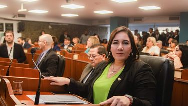 Planteo. Silvana Carrizo, presidenta de bloque.