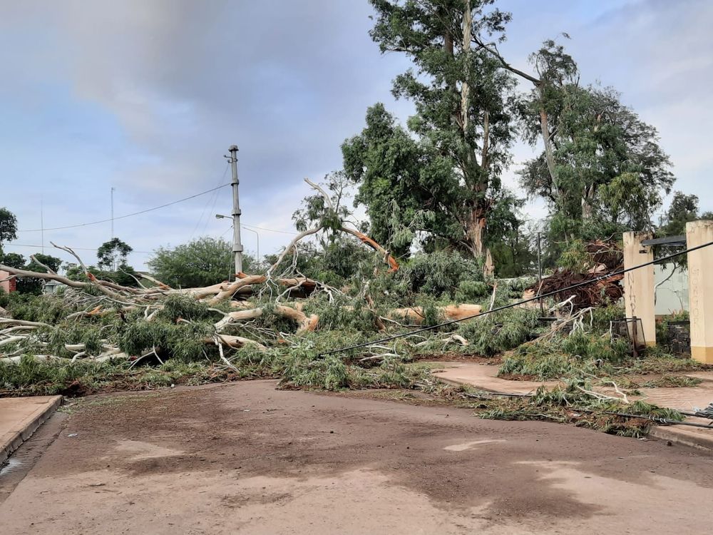 ¿Fue o no fue un tornado?&nbsp;
