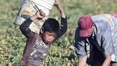 Sacar a los chicos de la calle y el campo