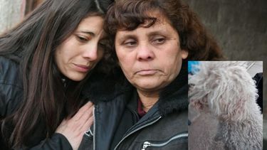La madre del detenido por el triple crimen dice que su hijo es inocente