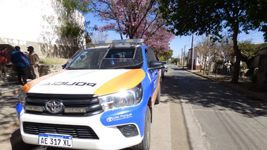 una camioneta choco contra un animal vacuno en ruta 46