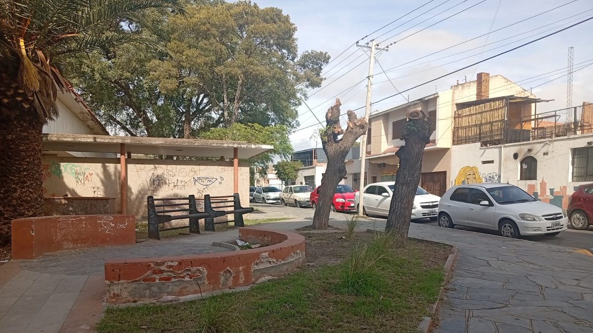 Vecinos expresaron su malestar por la poda de árboles en la Manzana de Salud