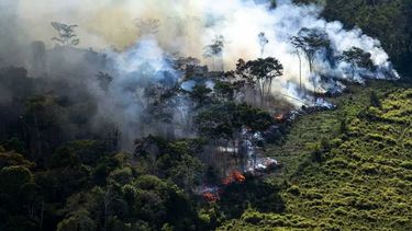 Bolsonaro envió al ejército a combatir el incendio