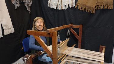 Guillermina Zárate