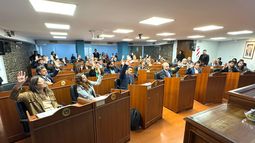 Tras un fuerte debate se aprobó la suspensión de las PASO