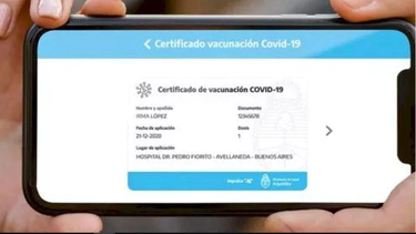 antivacunas presentaron un amparo contra el pase sanitario