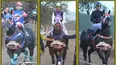se correra en el hipodromo catamarca