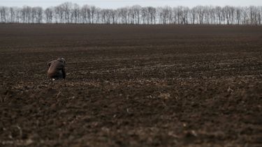 La ONU advierte por la escaces y suba en los precios de los cereales.&nbsp;