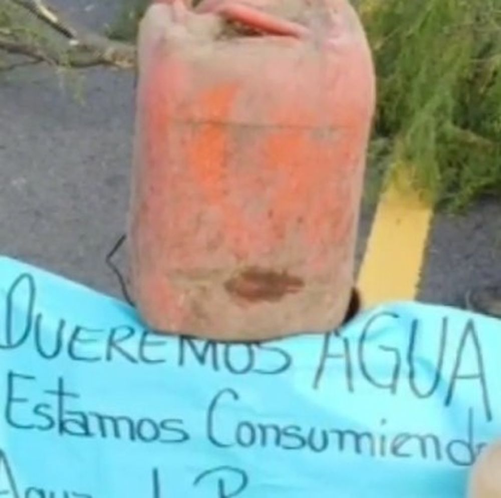 telaritos.jpg