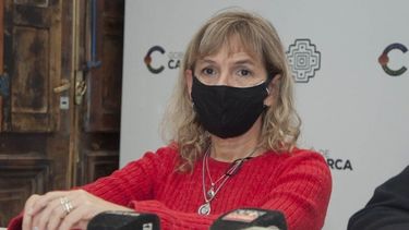 Palladino confirmó que se está trabajando en la precampaña de vacunación