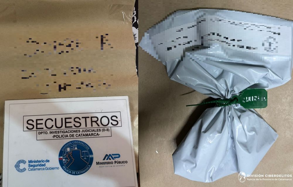 Div. Ciberdelitos (1)